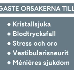 Vanligaste orsakerna till yrsel: Kristallsjukan, blodtrycksfall, stress och oro, vestibularisneurit, Ménières sjukdom.