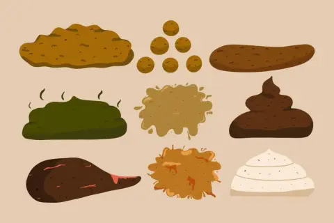 Illustration av olika typer av bajs, från mörkt till ljust bajs, inklusive klumpar och flytande former.