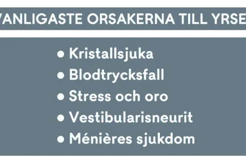 Vanligaste orsakerna till yrsel: Kristallsjukan, blodtrycksfall, stress och oro, vestibularisneurit, Ménières sjukdom.