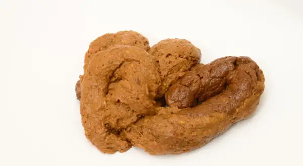 En hög med grått bajs, som ser ut som en klump av lera, ligger på en vit bakgrund.