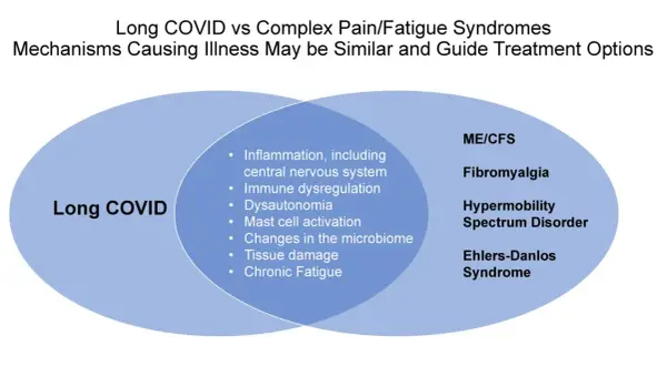 Venn-diagram som visar likheter mellan Long COVID och ME/CFS, Fibromyalgi, Hypermobilitet och Ehlers-Danlos syndrom. Gemensamma symtom inkluderar autonom dysfunktion.