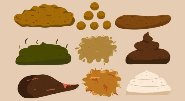 Illustration av olika typer av bajs, från mörkt till ljust bajs, inklusive klumpar och flytande former.