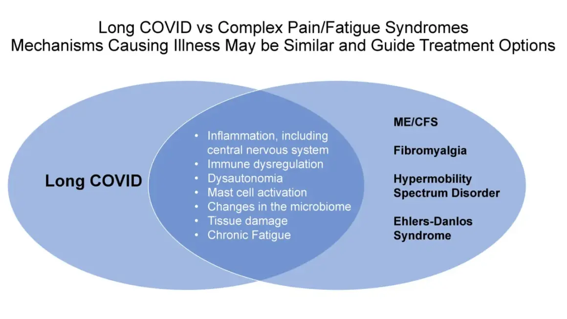 Venn-diagram som visar likheter mellan Long COVID och ME/CFS, Fibromyalgi, Hypermobilitet och Ehlers-Danlos syndrom. Gemensamma symtom inkluderar autonom dysfunktion.