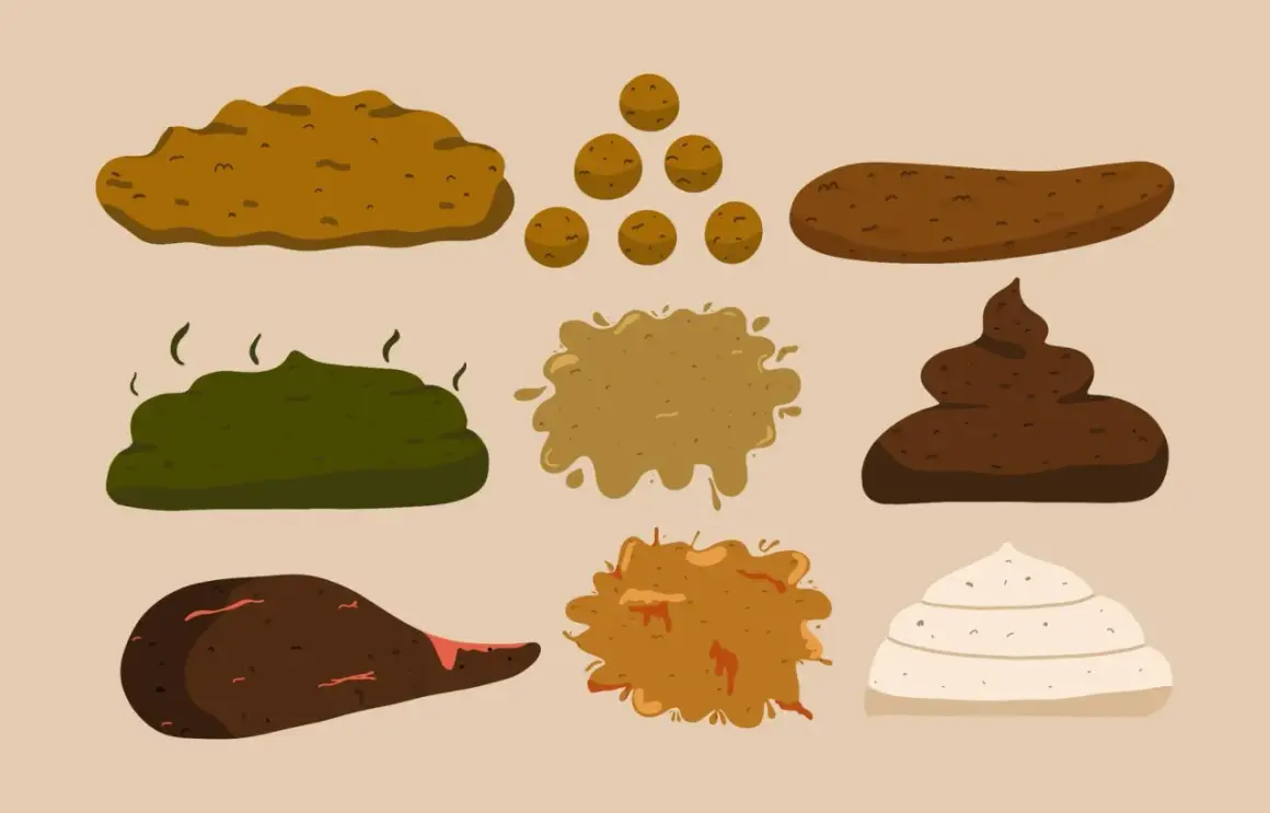 Illustration av olika typer av bajs, från mörkt till ljust bajs, inklusive klumpar och flytande former.