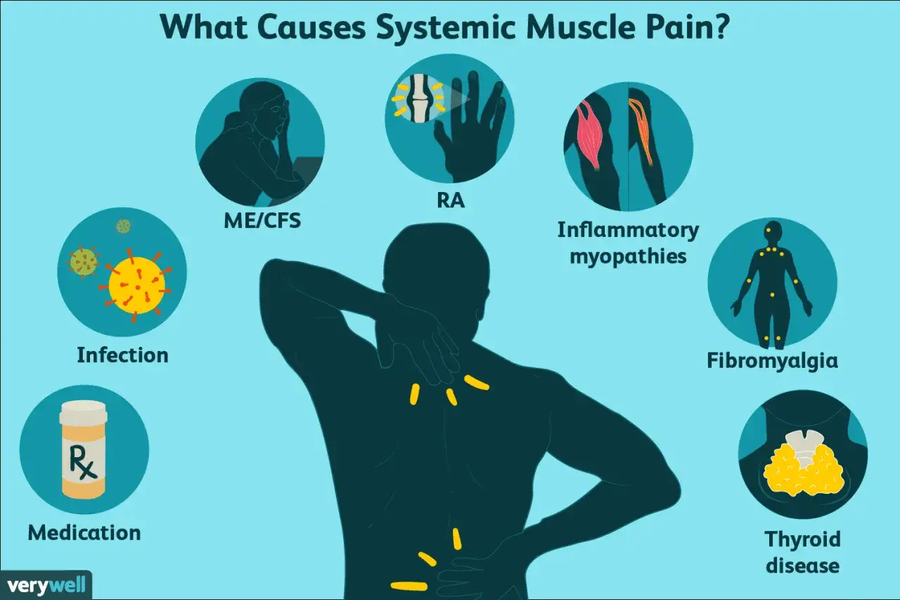 Illustration visar orsaker till systemisk muskelvärk, inklusive infektioner, mediciner, ME/CFS, RA, inflammatoriska myopatier, fibromyalgi och sköldkörtelsjukdom. Frågan